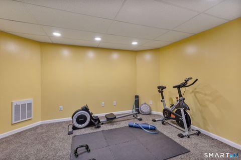 Tiny photo for 7 Nicholas Court, East Hampton, CT 06424 (MLS # 24165881)