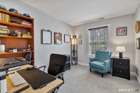 Tiny photo for 7 Nicholas Court, East Hampton, CT 06424 (MLS # 24165881)