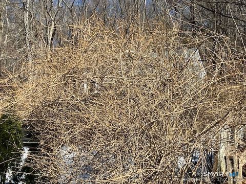 1 Parsons Drive Waterbury CT 06708