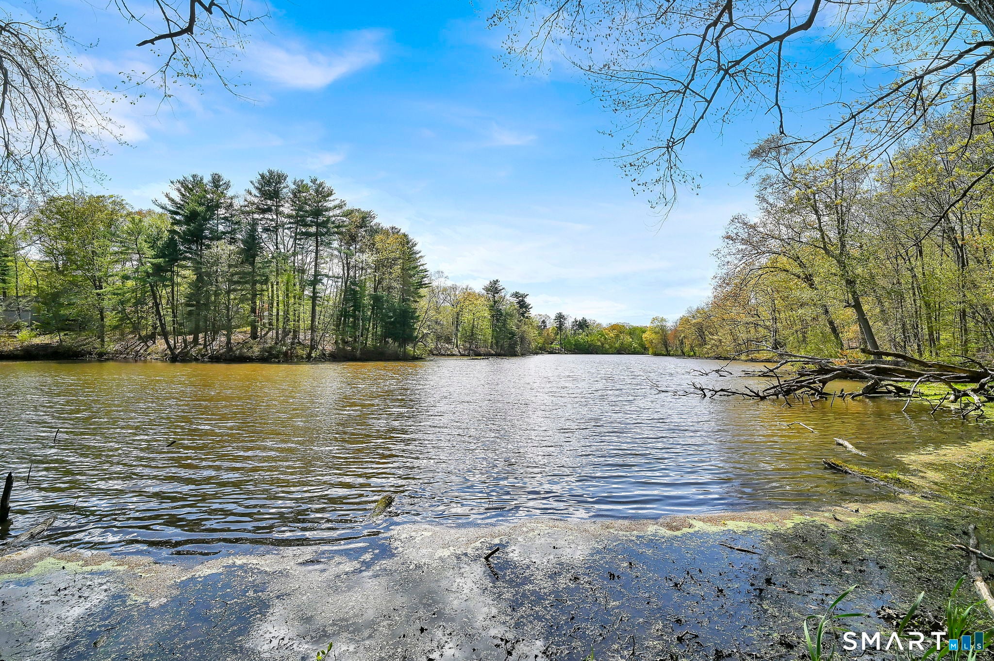 2103 Mill Pond Drive 2103