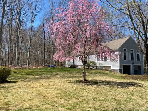 Photo of 437 Green Hill Road, Madison, CT 06443 (MLS # 24157800)