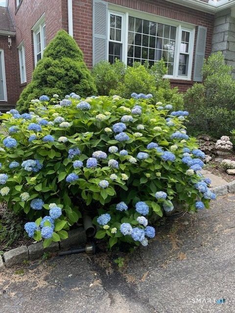 Tiny photo for 1769 Goshen Road, Torrington, CT 06790 (MLS # 24149589)