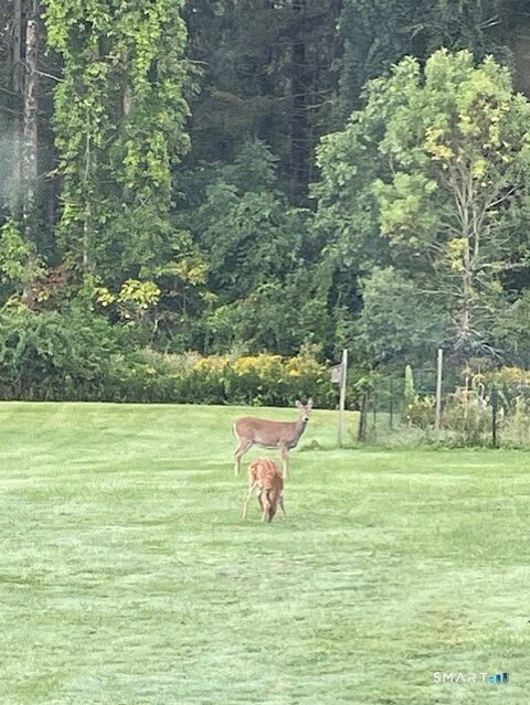 Tiny photo for 1769 Goshen Road, Torrington, CT 06790 (MLS # 24149589)