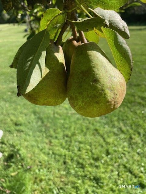 Tiny photo for 1769 Goshen Road, Torrington, CT 06790 (MLS # 24149589)