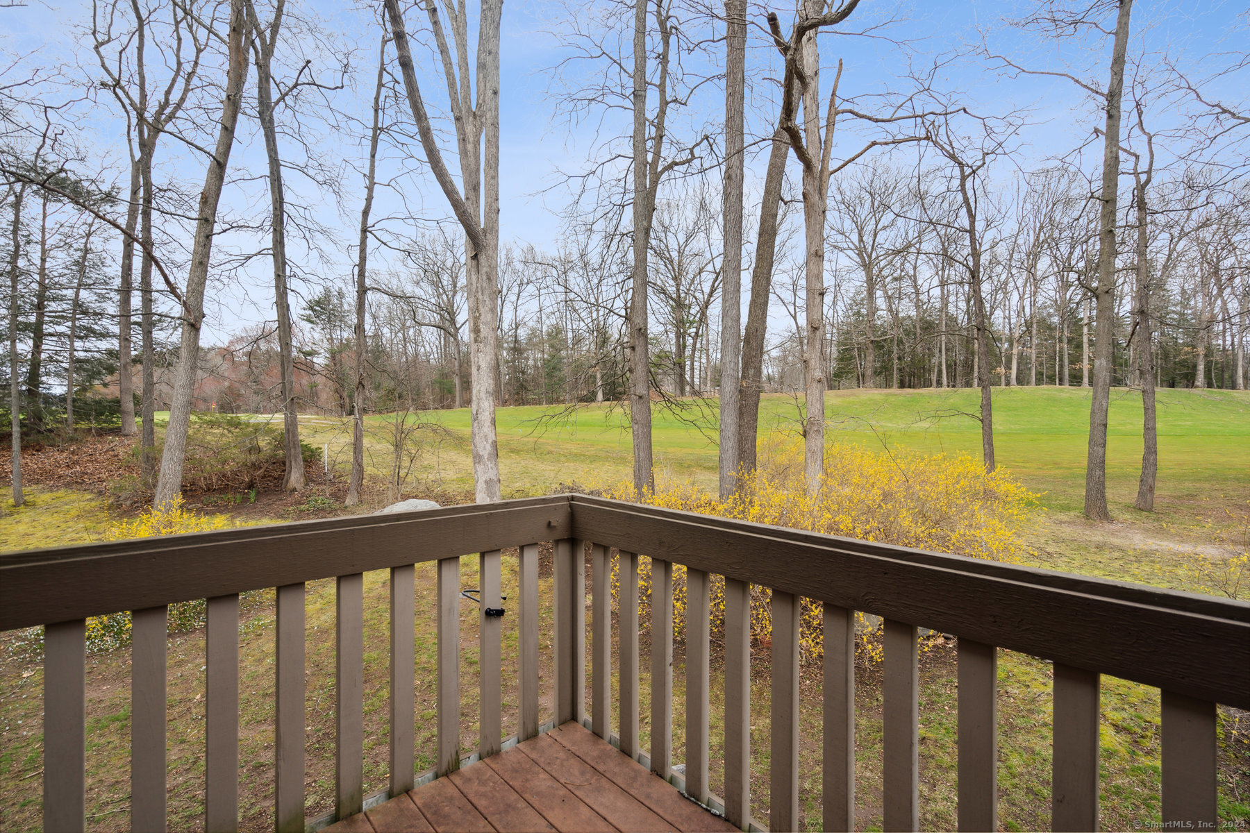 60 Crocus Lane #60, Avon, Connecticut image 18