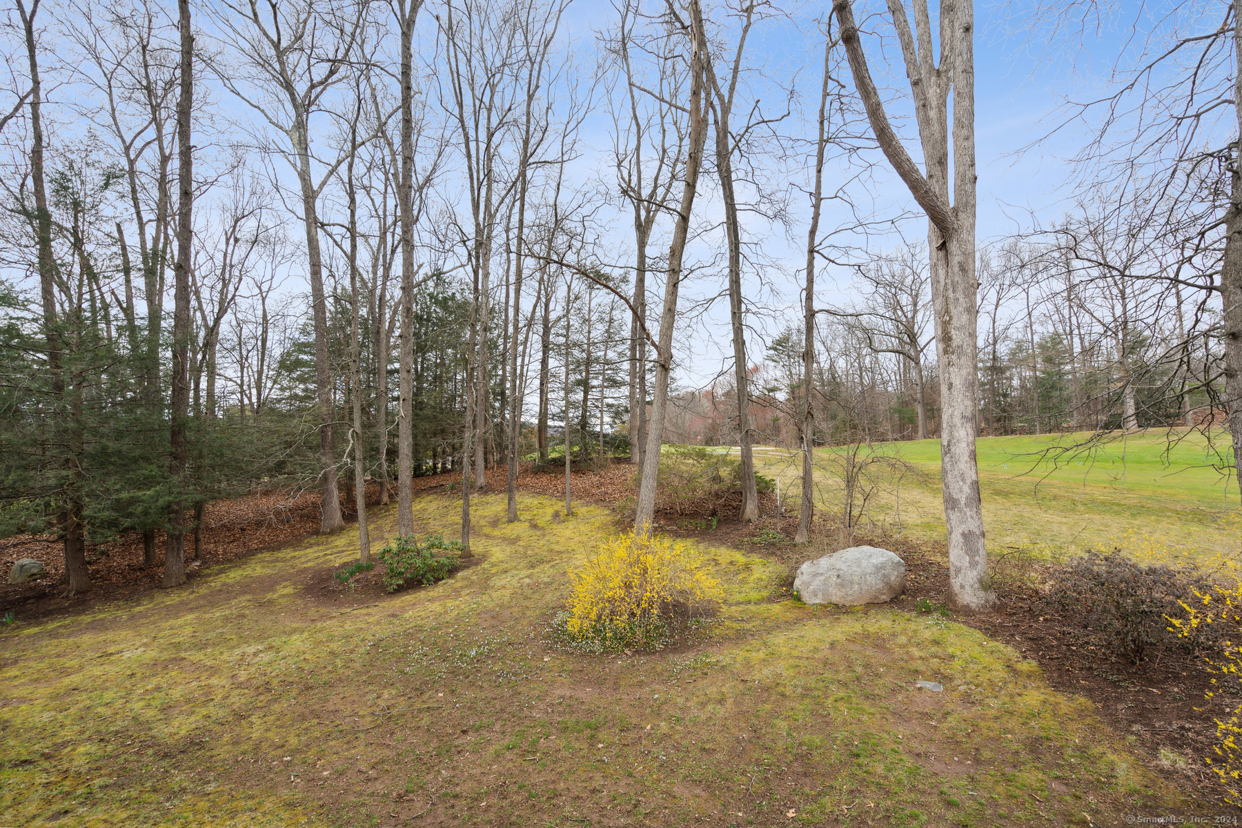 60 Crocus Lane #60, Avon, Connecticut image 32