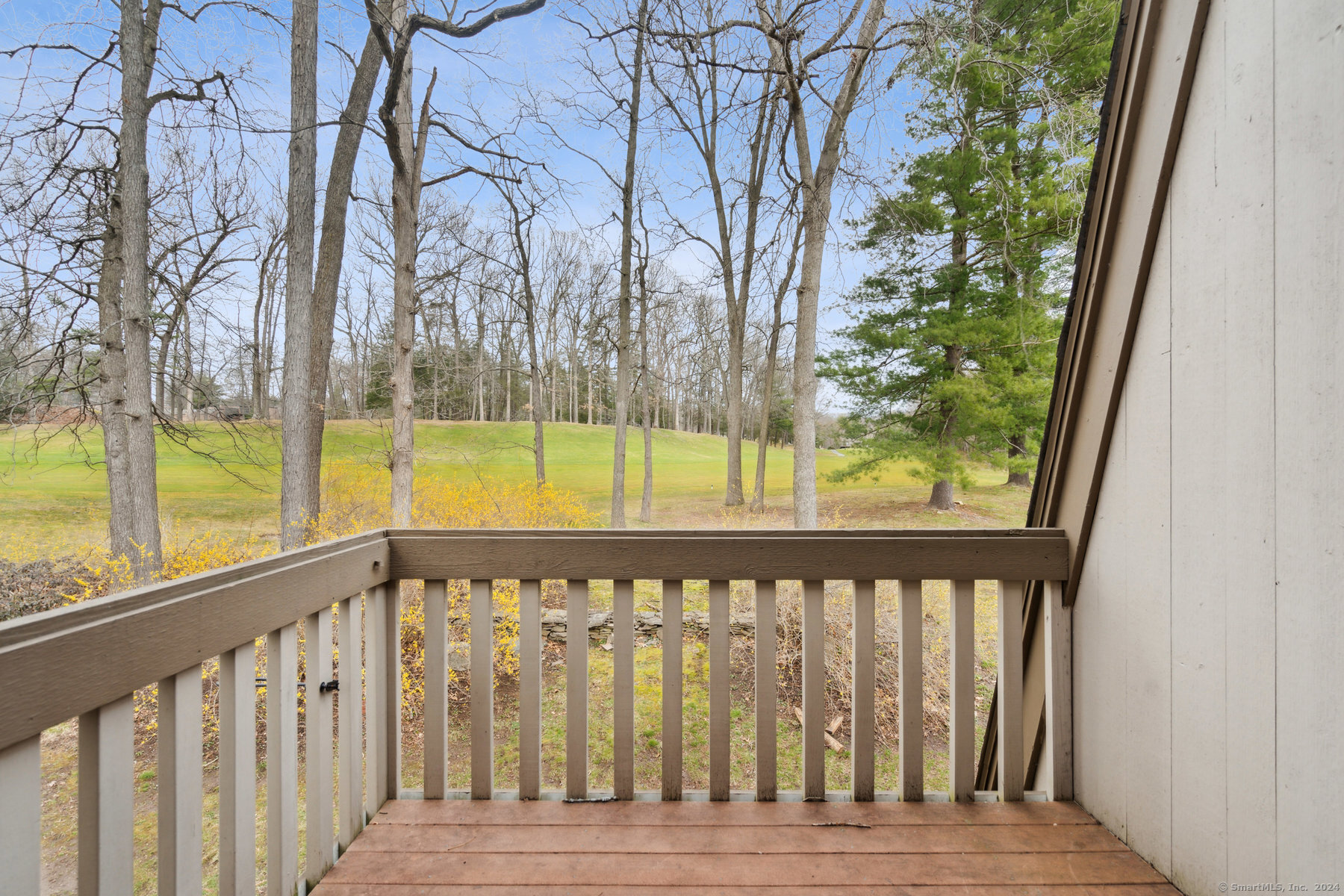 60 Crocus Lane #60, Avon, Connecticut image 17