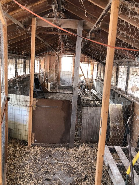 Tiny photo for 11 Shantry Road, Colebrook, CT 06021 (MLS # 24138373)