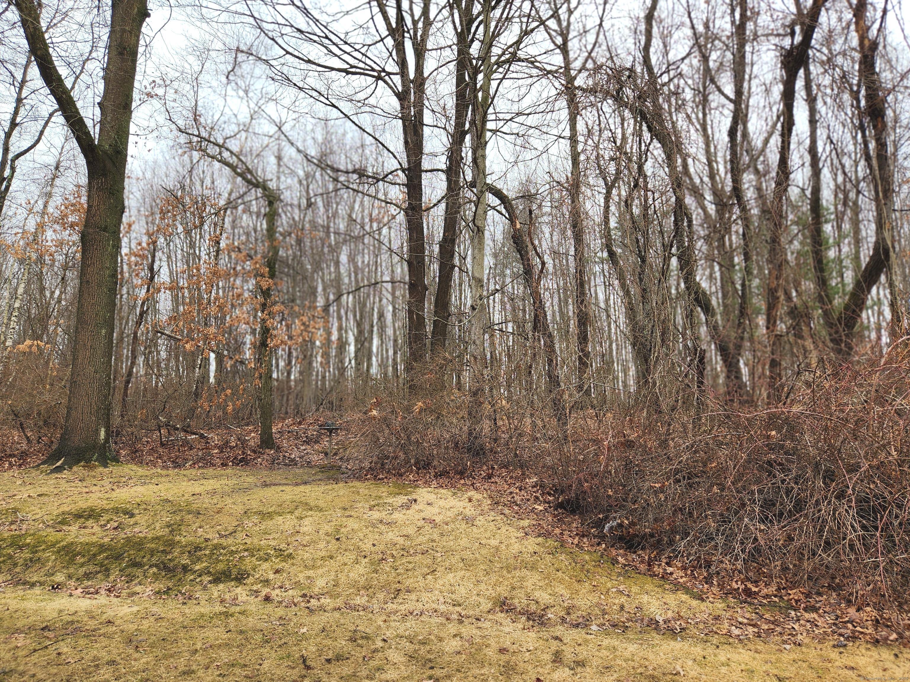 30 Pheasant Hill Drive #30, Enfield, Connecticut image 27