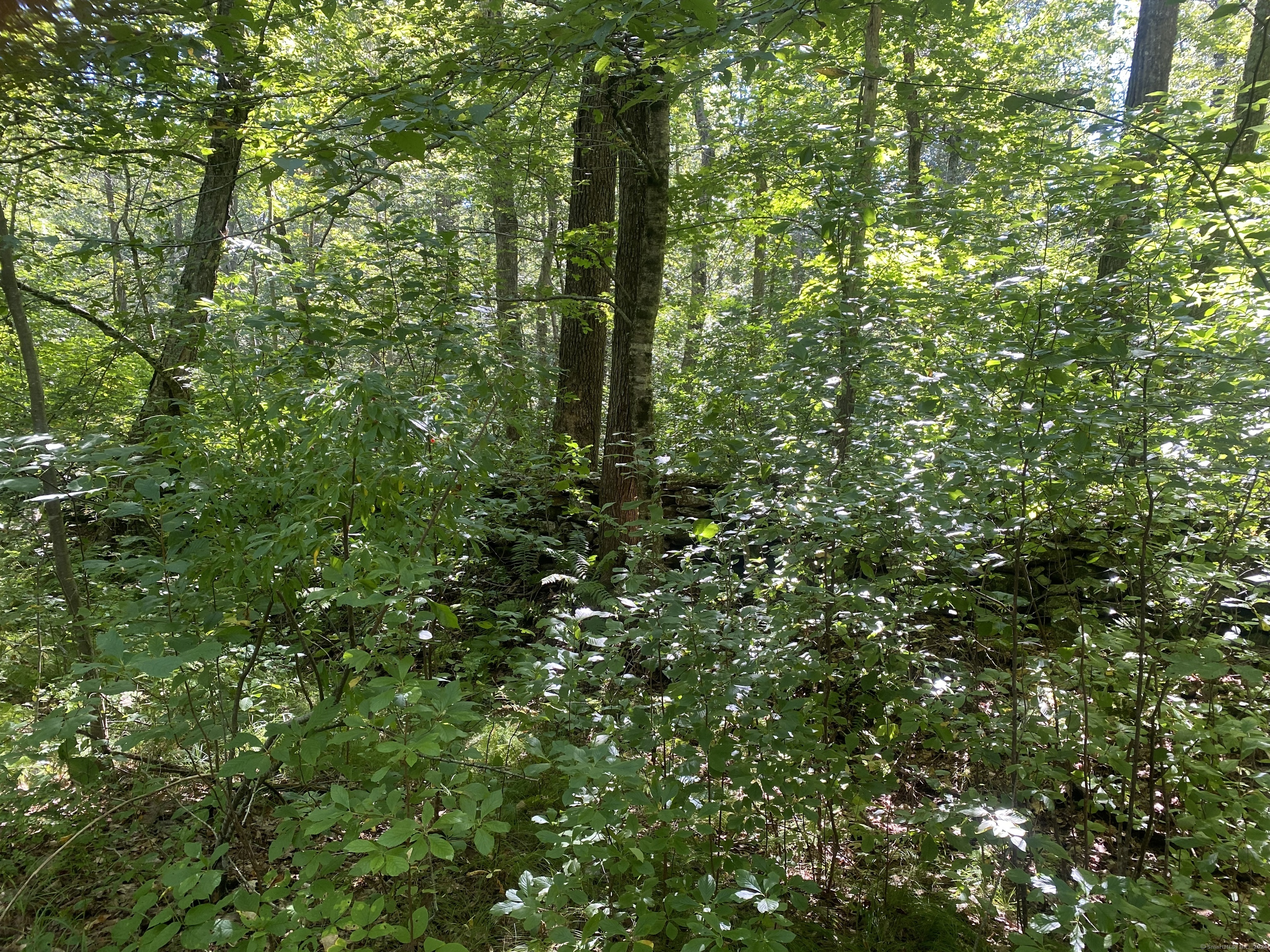 00 Sarah Pearl Road, Hampton, Connecticut image 4