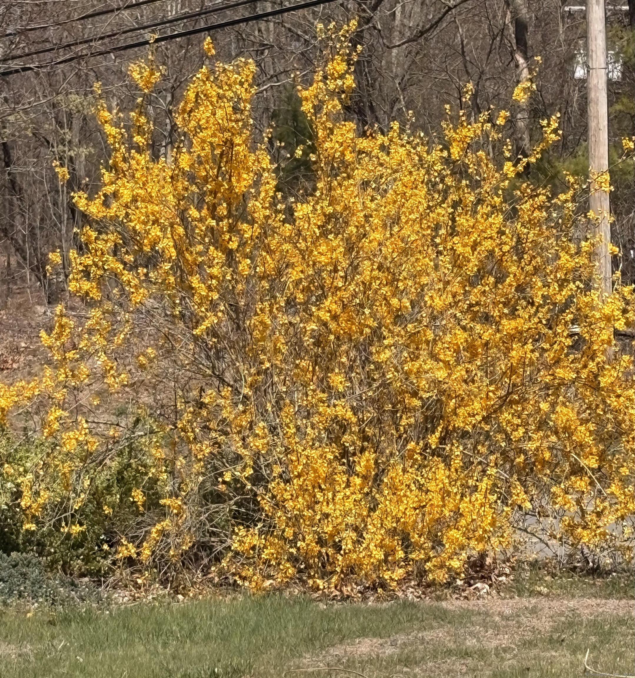 573 Putnam Road, Plainfield, Connecticut image 24