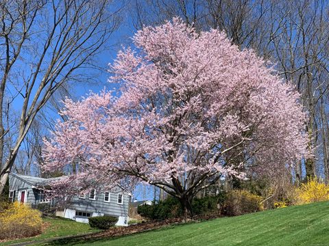 Tiny photo for 48 Meadow Wood Road, Branford, CT 06405 (MLS # 24135840)