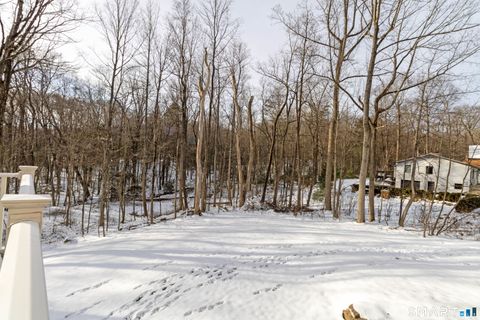 Tiny photo for 19 Black Walnut Lane, Burlington, CT 06013 (MLS # 24146338)