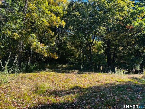 Tiny photo for 175 Seymour Road, Woodbridge, CT 06525 (MLS # 24215228)