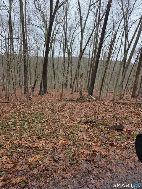 Tiny photo for 165 Housatonic Trail, Southbury, CT 06488 (MLS # 24163448)