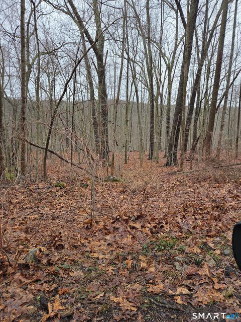 Photo of 165 Housatonic Trail, Southbury, CT 06488 (MLS # 24163448)