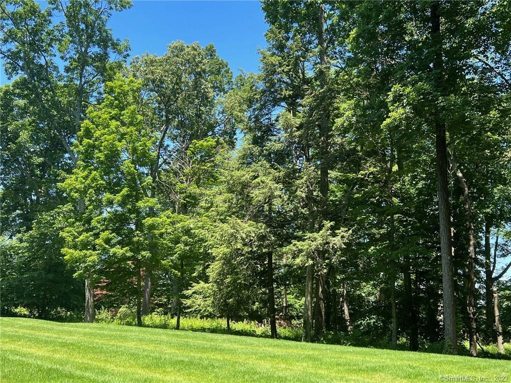 Photo 1 of 2 of 8196 Ely Road land