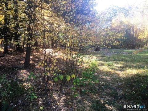 Tiny photo for 159 Campville Road, Litchfield, CT 06778 (MLS # 24208309)