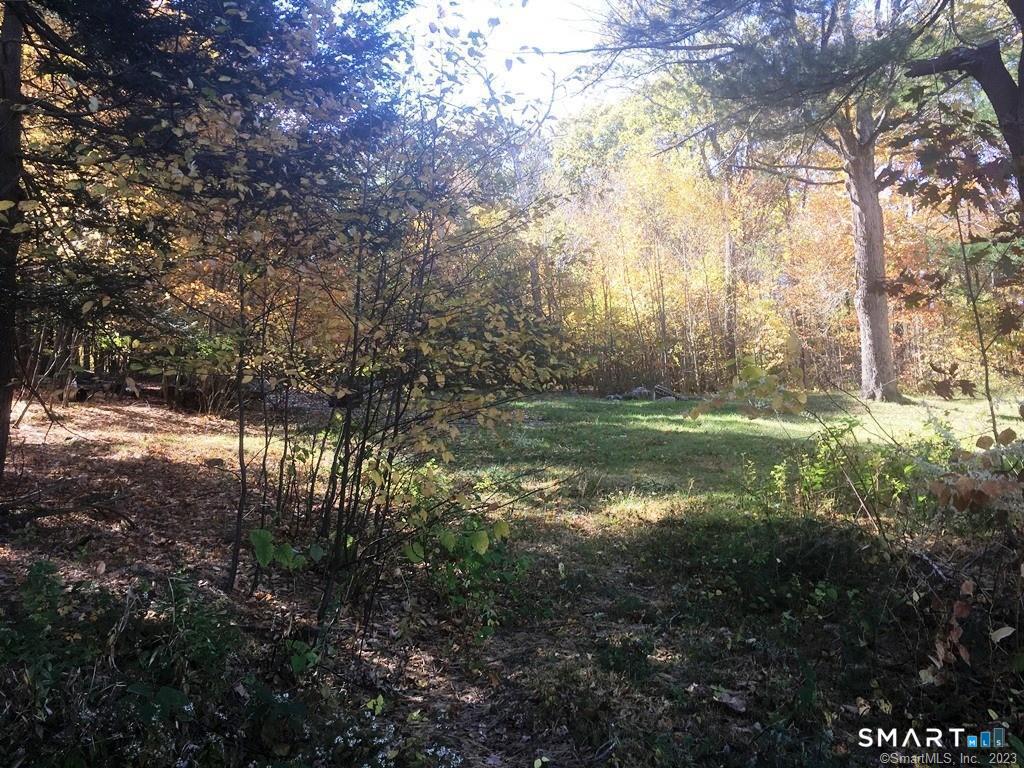 159 Campville Road