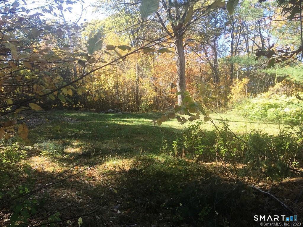 159 Campville Road