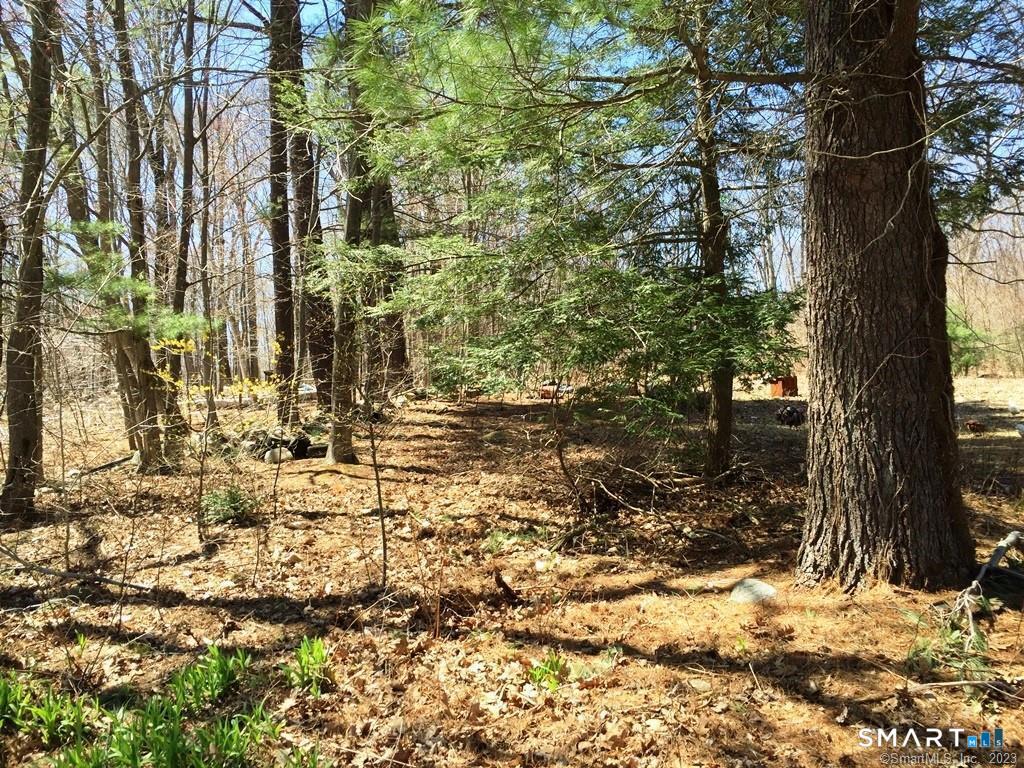 159 Campville Road