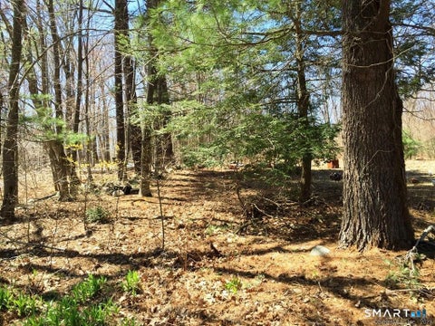 Tiny photo for 159 Campville Road, Litchfield, CT 06778 (MLS # 24208309)