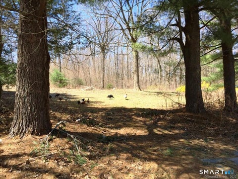 Photo of 159 Campville Road, Litchfield, CT 06778 (MLS # 24208309)