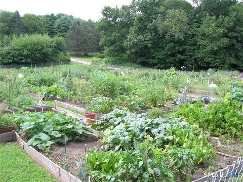 Tiny photo for 428 Heritage Village #A, Southbury, CT 06488 (MLS # 24162906)