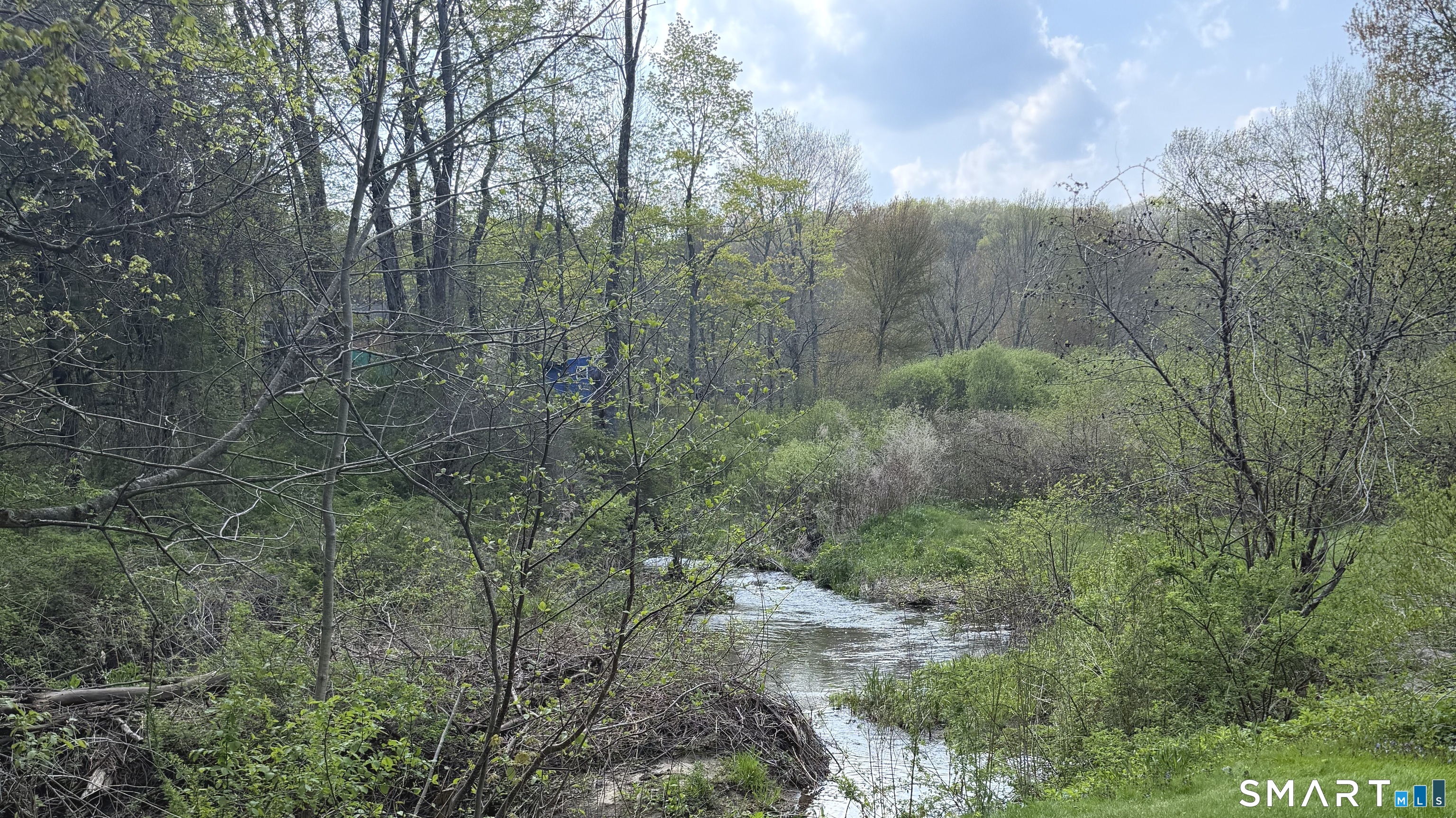 419 Birge Park Road