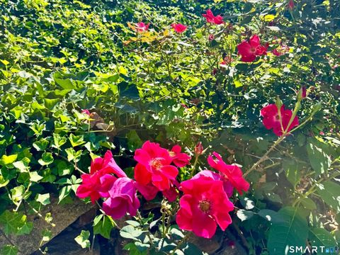 Tiny photo for 253 Kneeland Road, New Haven, CT 06512 (MLS # 24157646)