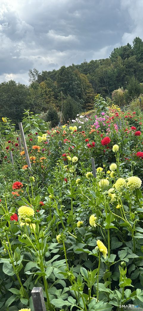 Tiny photo for 144 Hnath Road, Ashford, CT 06278 (MLS # 24155947)