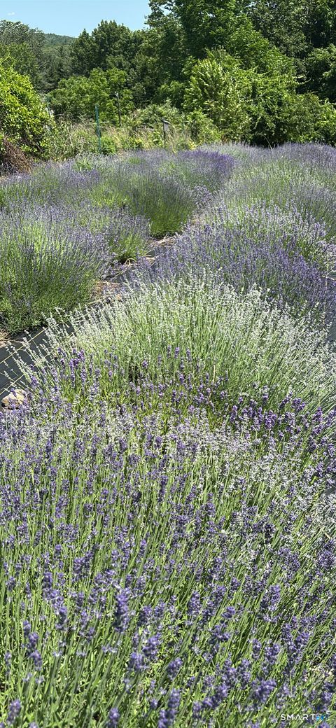 Tiny photo for 144 Hnath Road, Ashford, CT 06278 (MLS # 24155947)