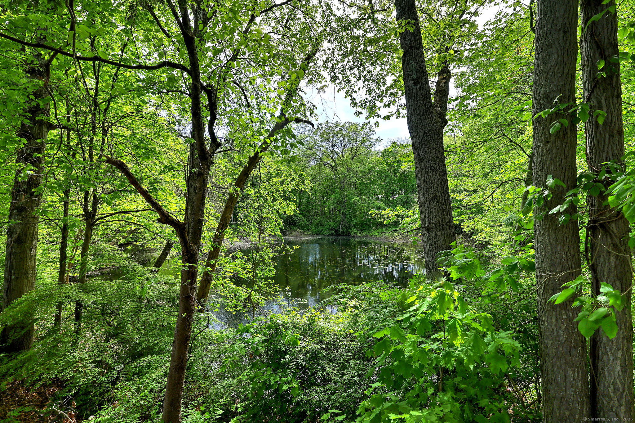 52 Robin Hill Lane, Hamden, Connecticut image 40