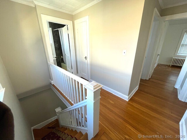 59 Magnolia Avenue, West Haven, Connecticut image 23