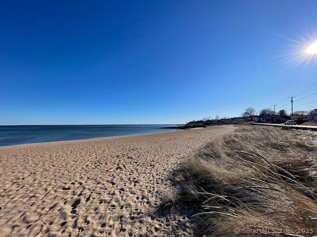 59 Magnolia Avenue, West Haven, Connecticut image 32