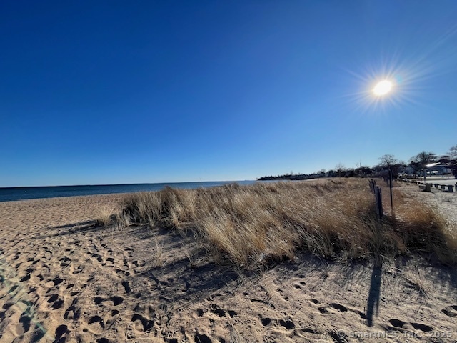 59 Magnolia Avenue, West Haven, Connecticut image 31