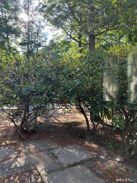Tiny photo for 7 Staunton Court #F, Farmington, CT 06032 (MLS # 24215397)