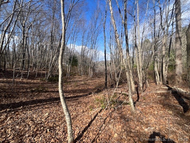 7 Green Valley Lakes Road, East Lyme, Connecticut image 6