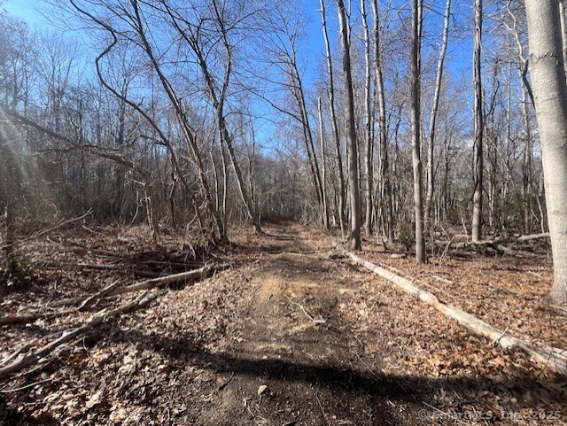 7 Green Valley Lakes Road, East Lyme, Connecticut image 3