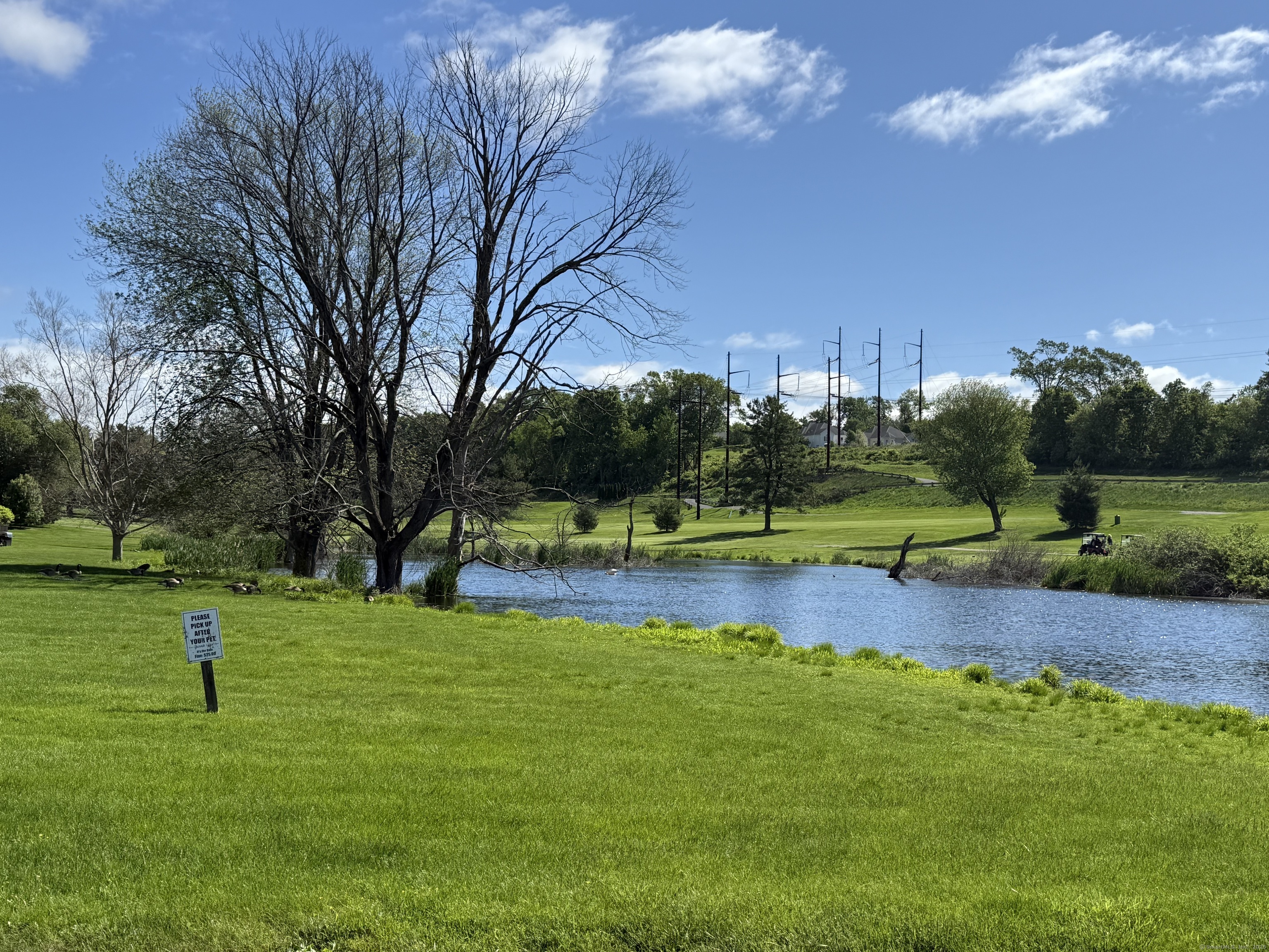 15 Pilgrim Harbor #A, Wallingford, Connecticut image 37