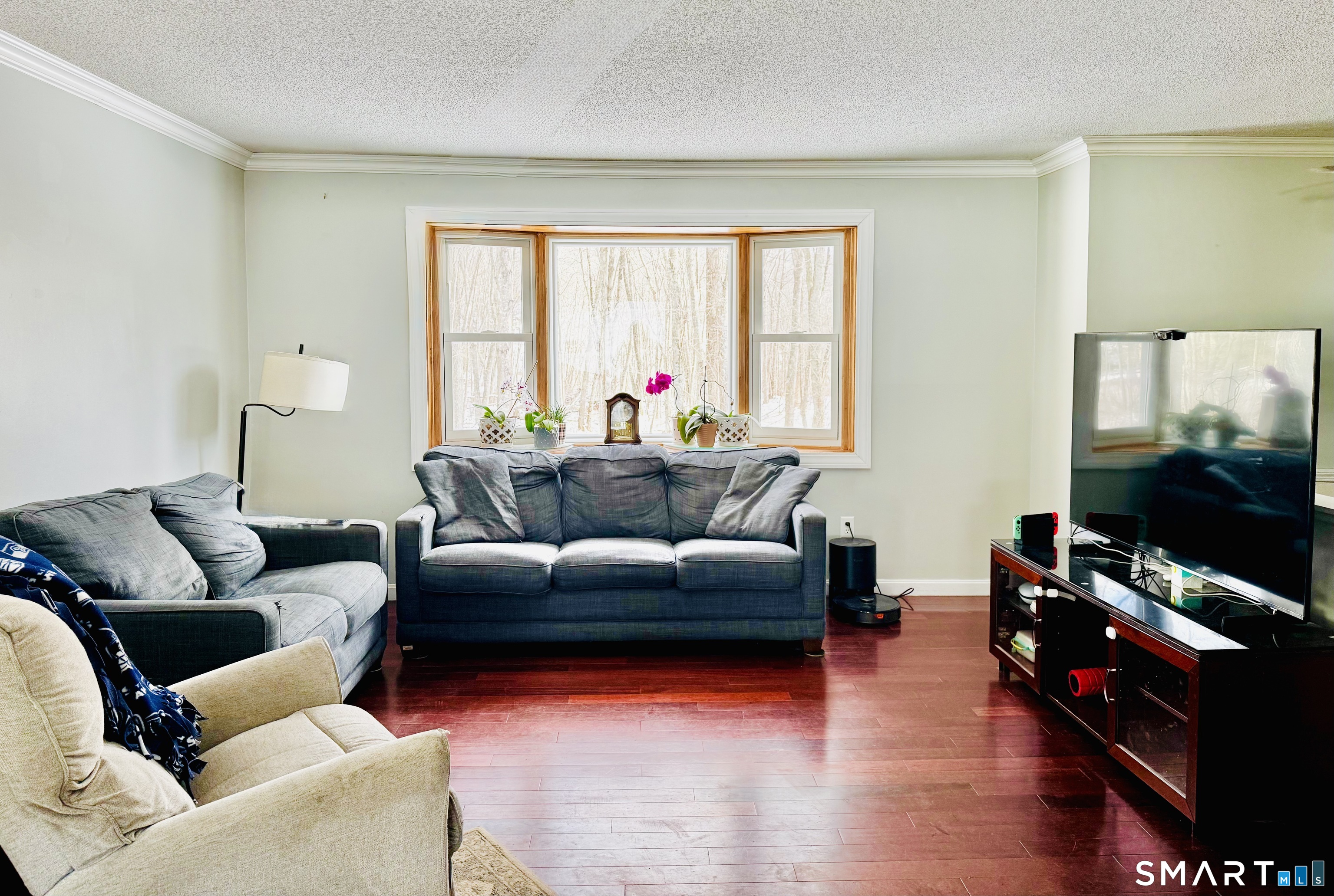 497 Colonel Ledyard Highway