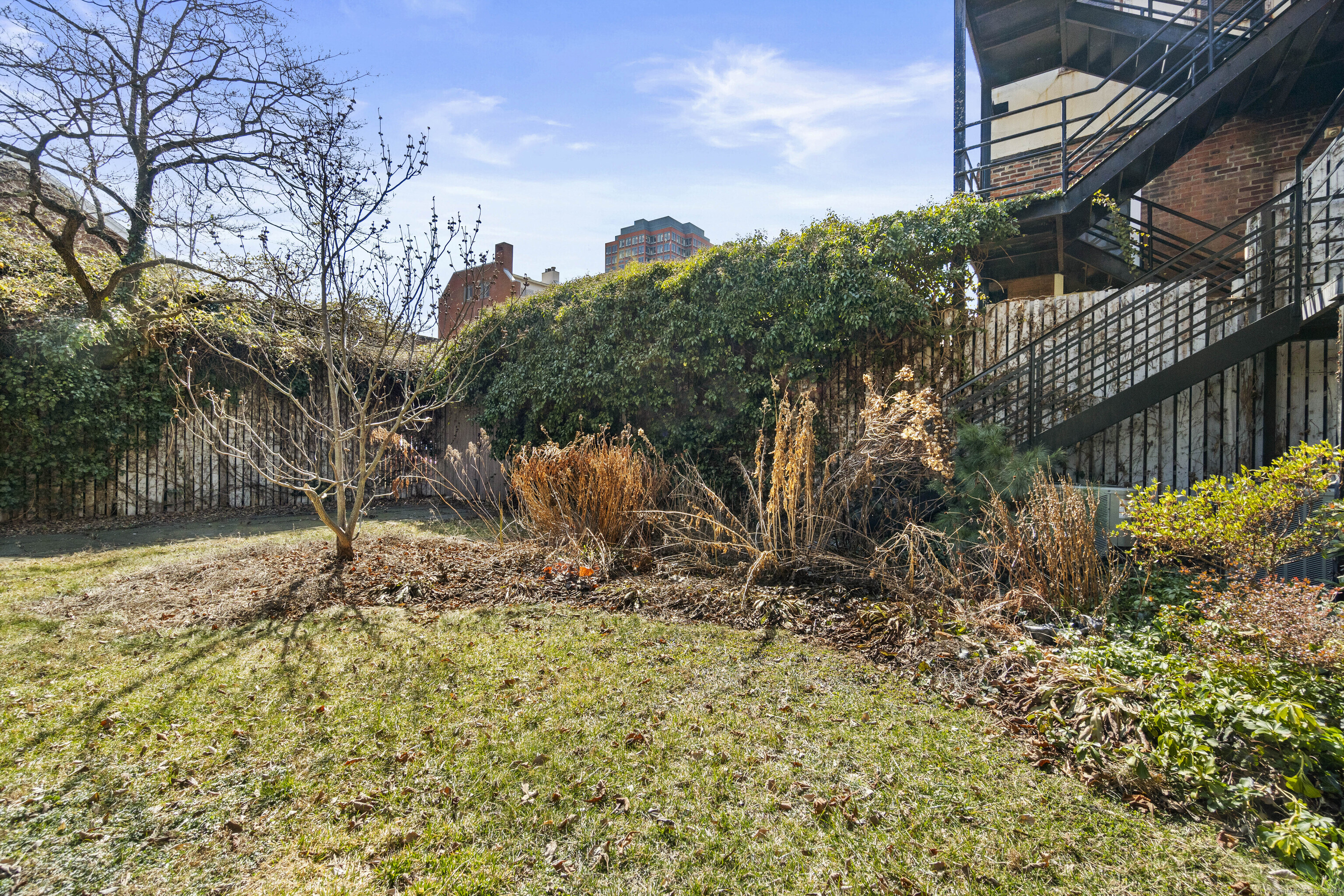 409 Temple Street, New Haven, Connecticut image 25