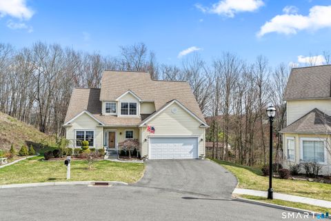 Homes For Sale - 18 Spring Ridge Court #18<br/> Fairfield County, Danbury, CT 06811