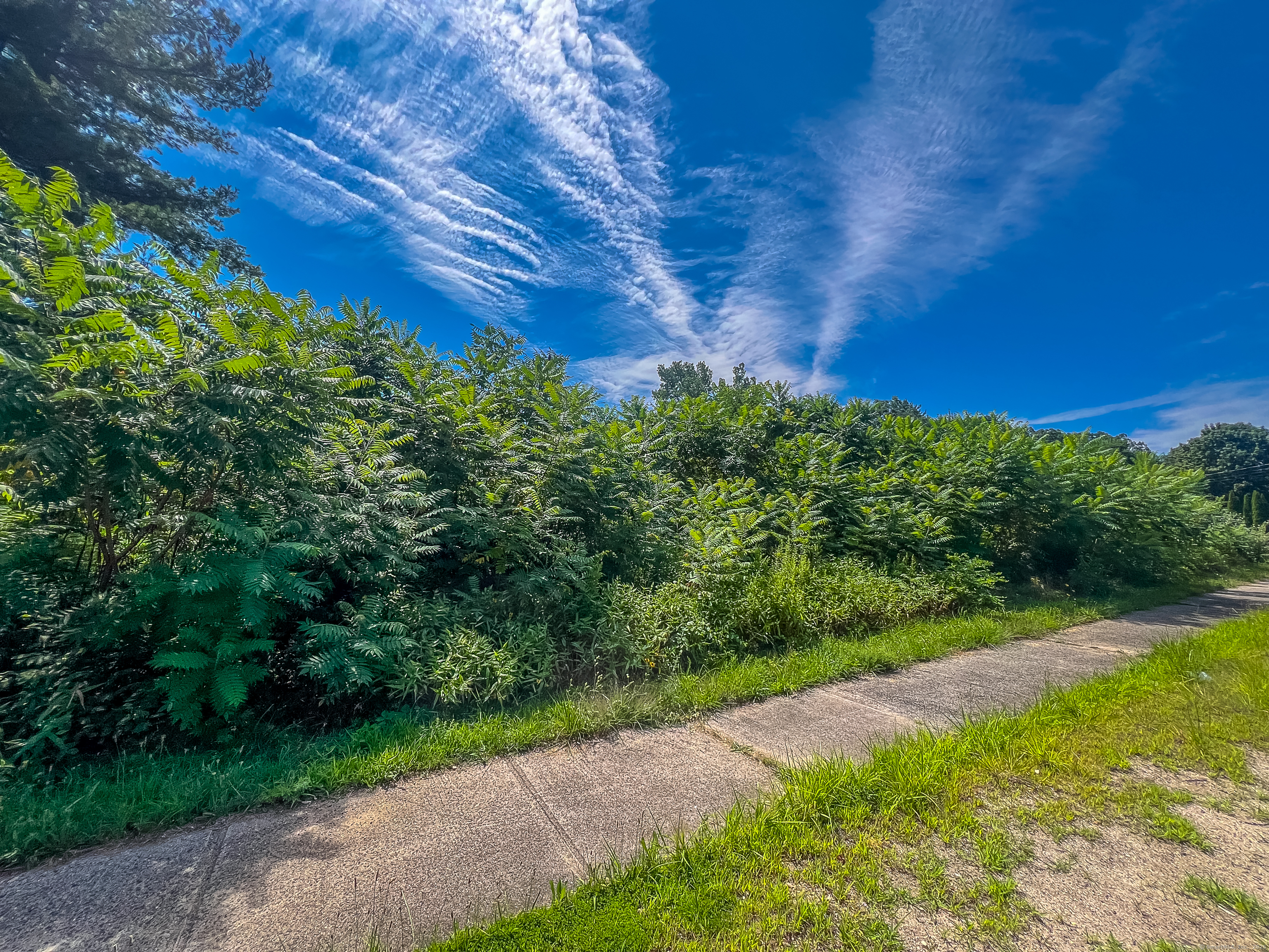 35 James P Casey Road