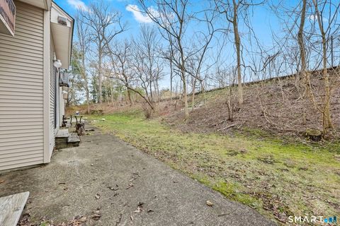 Tiny photo for 305 Willow Springs #305, New Milford, CT 06776 (MLS # 24163350)
