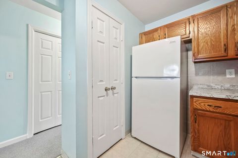 Tiny photo for 305 Willow Springs #305, New Milford, CT 06776 (MLS # 24163350)