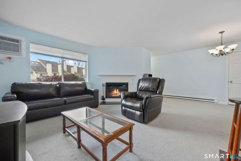 Tiny photo for 305 Willow Springs #305, New Milford, CT 06776 (MLS # 24163350)