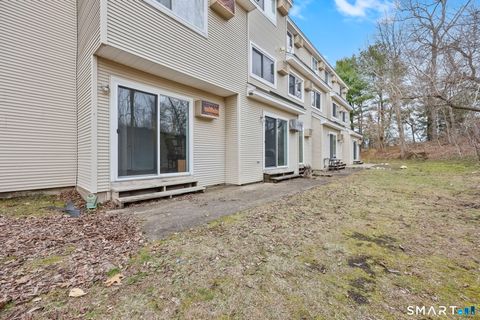Tiny photo for 305 Willow Springs #305, New Milford, CT 06776 (MLS # 24163350)