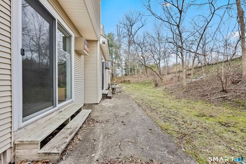 Tiny photo for 305 Willow Springs #305, New Milford, CT 06776 (MLS # 24163350)