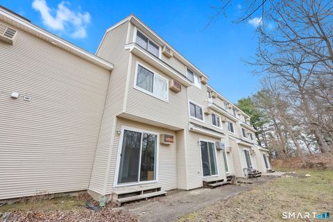 Tiny photo for 305 Willow Springs #305, New Milford, CT 06776 (MLS # 24163350)